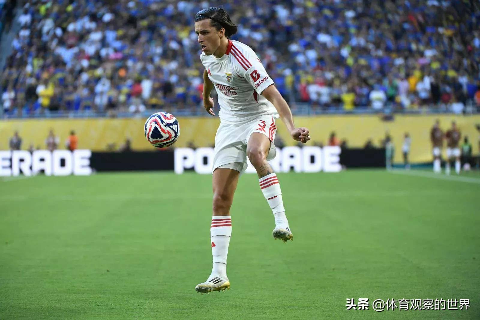 赛前本菲卡防线松动：意大利杯节点到来，底气十足，高层口径保持一致(坎塞洛本菲卡)-乐动网页版